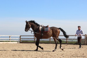 larry schooling