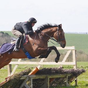 Lord Valentine - one of our horses in training
